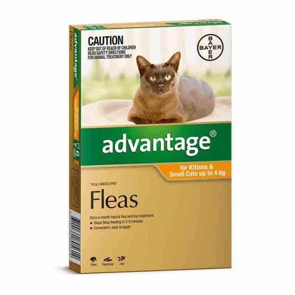advantage-small-cat-flea-treatment-for-cats-under-4kg-orange-4-pack
