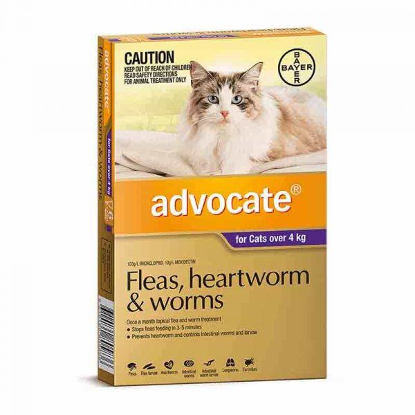 advocate-for-cats-over-4kg-3-months-supply-purple